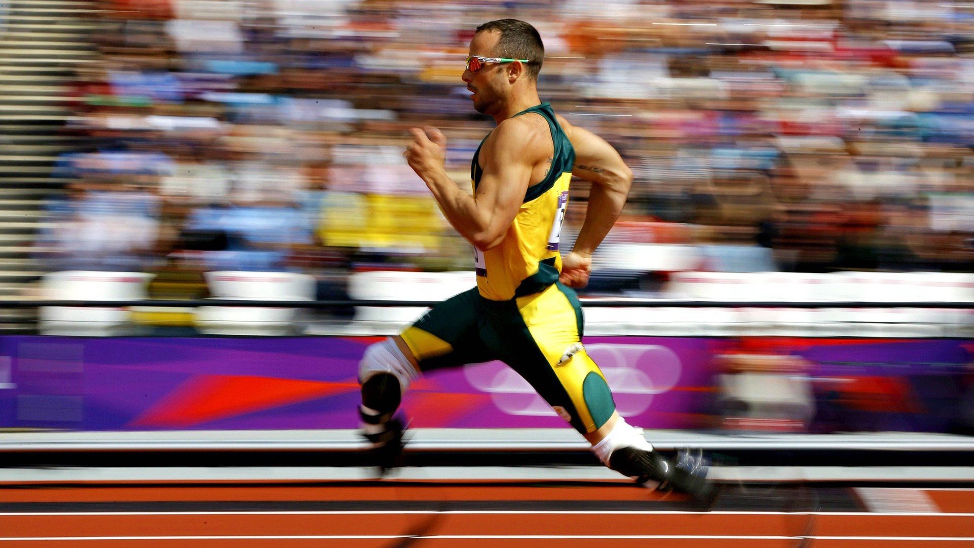 世界杯经典瞬间：动容，永不褪色的记忆，世界杯超燃视频